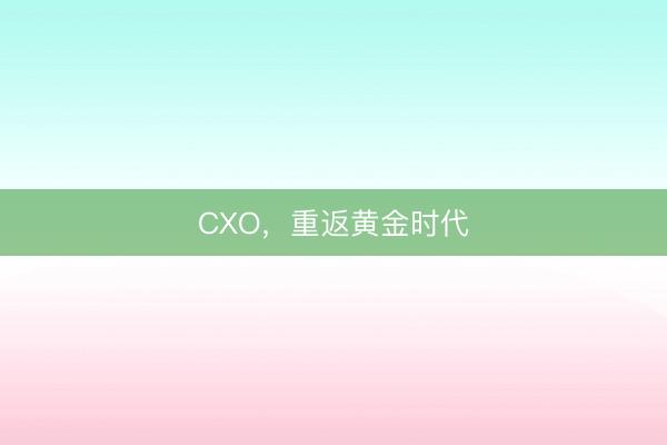 CXO，重返黄金时代
