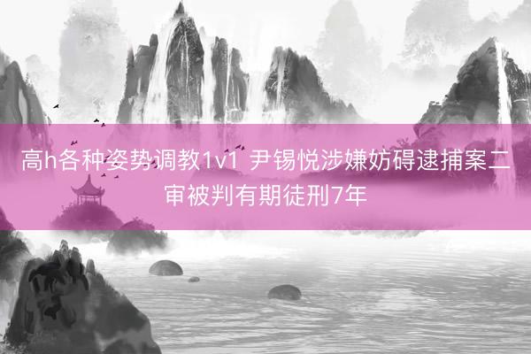 高h各种姿势调教1v1 尹锡悦涉嫌妨碍逮捕案二审被判有期徒刑7年