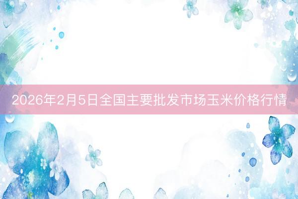 2026年2月5日全国主要批发市场玉米价格行情