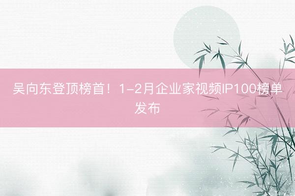 吴向东登顶榜首！1-2月企业家视频IP100榜单发布