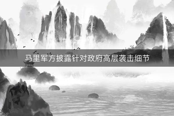 马里军方披露针对政府高层袭击细节