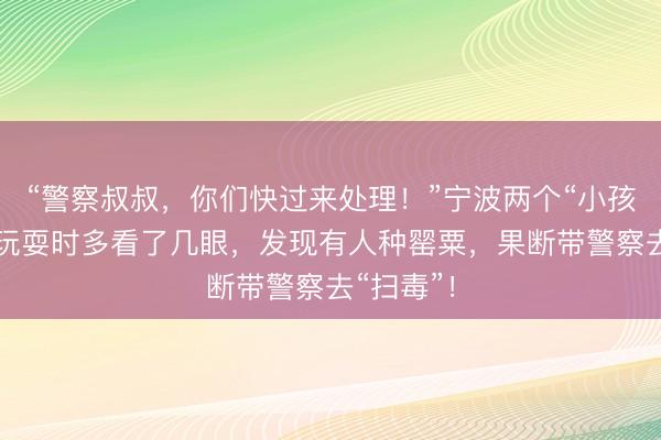 “警察叔叔，你们快过来处理！”宁波两个“小孩哥”路边玩耍时多看了几眼，发现有人种罂粟，果断带警察去“扫毒”！