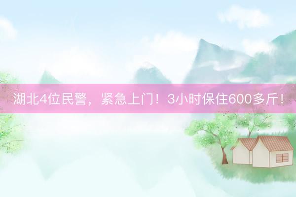 湖北4位民警，紧急上门！3小时保住600多斤！