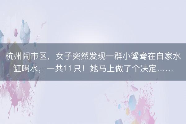 杭州闹市区，女子突然发现一群小鸳鸯在自家水缸喝水，一共11只！她马上做了个决定……