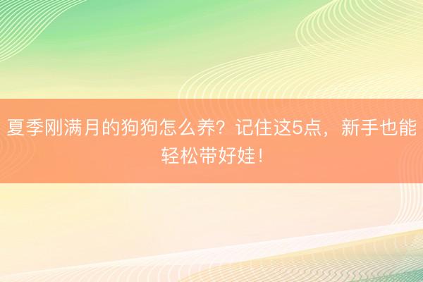 夏季刚满月的狗狗怎么养？记住这5点，新手也能轻松带好娃！