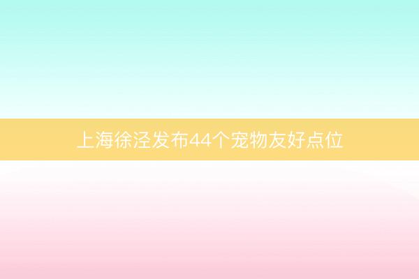 上海徐泾发布44个宠物友好点位