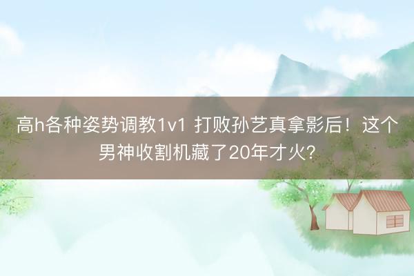 高h各种姿势调教1v1 打败孙艺真拿影后！这个男神收割机藏了20年才火？