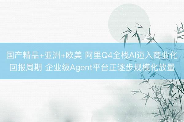 国产精品+亚洲+欧美 阿里Q4全栈AI迈入商业化回报周期 企业级Agent平台正逐步规模化放量