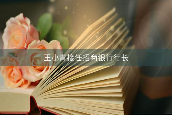 王小青接任招商银行行长