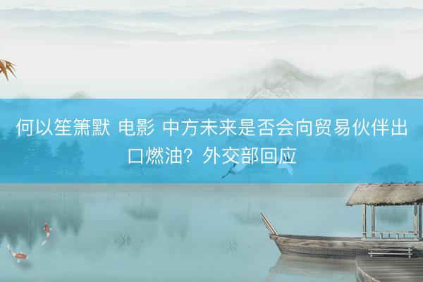 何以笙箫默 电影 中方未来是否会向贸易伙伴出口燃油？外交部回应