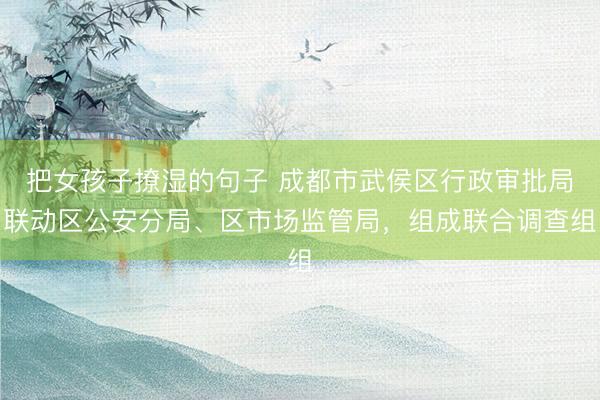 把女孩子撩湿的句子 成都市武侯区行政审批局联动区公安分局、区市场监管局，组成联合调查组