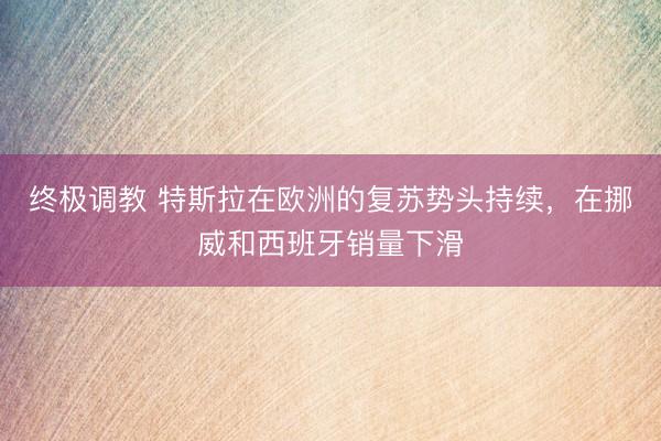 终极调教 特斯拉在欧洲的复苏势头持续，在挪威和西班牙销量下滑