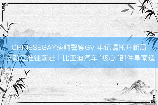 CHINESEGAY痞帅警察GV 牢记嘱托开新局 日新江淮往前赶｜比亚迪汽车“核心”部件阜南造