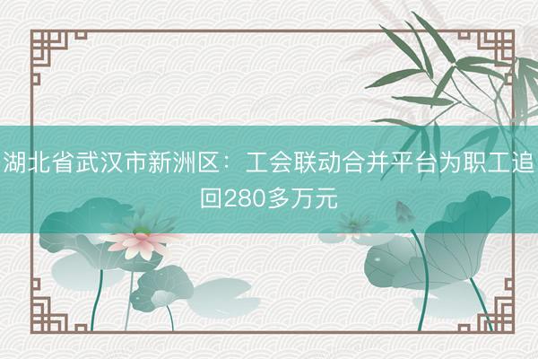 湖北省武汉市新洲区：工会联动合并平台为职工追回280多万元