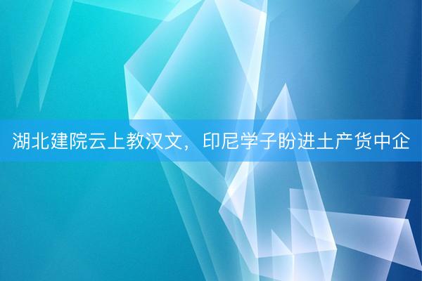 湖北建院云上教汉文，印尼学子盼进土产货中企