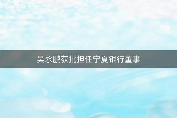 吴永鹏获批担任宁夏银行董事