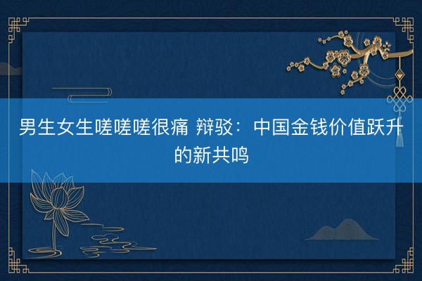 男生女生嗟嗟嗟很痛 辩驳：中国金钱价值跃升的新共鸣