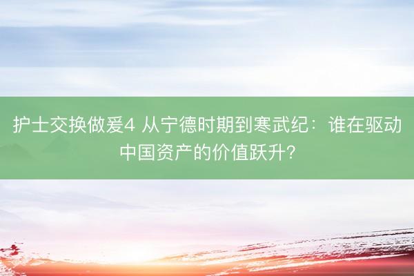 护士交换做爰4 从宁德时期到寒武纪：谁在驱动中国资产的价值跃升？
