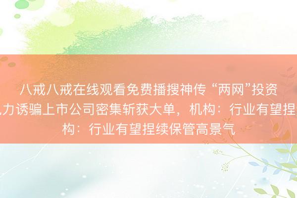 八戒八戒在线观看免费播搜神传 “两网”投资额高增长，电力诱骗上市公司密集斩获大单，机构：行业有望捏续保管高景气