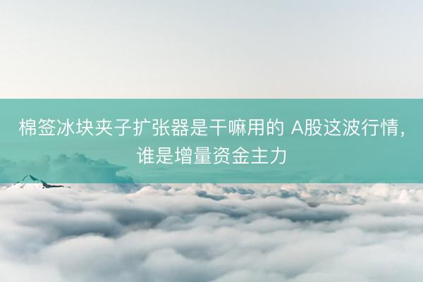棉签冰块夹子扩张器是干嘛用的 A股这波行情，谁是增量资金主力