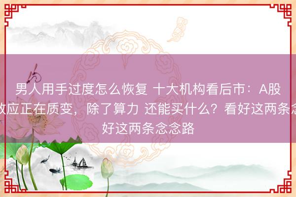 男人用手过度怎么恢复 十大机构看后市：A股赢利效应正在质变，除了算力 还能买什么？看好这两条念念路