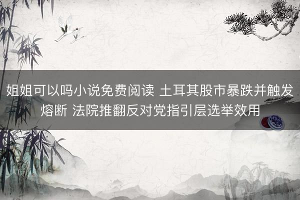 姐姐可以吗小说免费阅读 土耳其股市暴跌并触发熔断 法院推翻反对党指引层选举效用