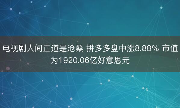 电视剧人间正道是沧桑 拼多多盘中涨8.88% 市值为1920.06亿好意思元