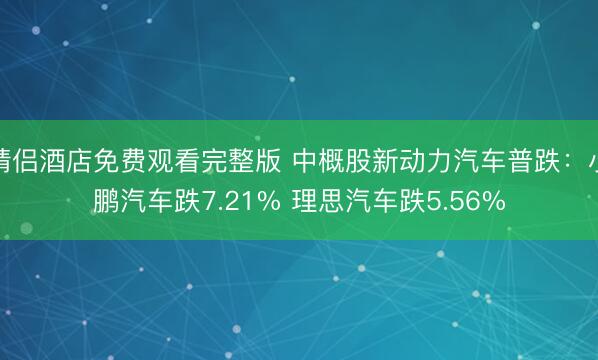 情侣酒店免费观看完整版 中概股新动力汽车普跌：小鹏汽车跌7.21% 理思汽车跌5.56%