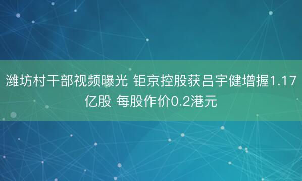 潍坊村干部视频曝光 钜京控股获吕宇健增握1.17亿股 每股作价0.2港元