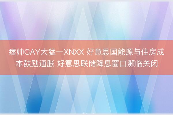痞帅GAY大猛一XNXX 好意思国能源与住房成本鼓励通胀 好意思联储降息窗口濒临关闭