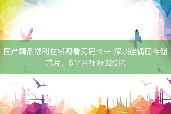 国产精品福利在线观看无码卡一 深圳佳偶囤存储芯片,5个月狂涨320亿