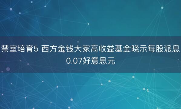禁室培育5 西方金钱大家高收益基金晓示每股派息0.07好意思元