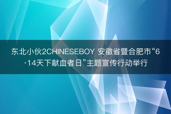 东北小伙2CHINESEBOY 安徽省暨合肥市“6·14天下献血者日”主题宣传行动举行