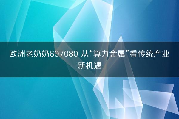 欧洲老奶奶607080 从“算力金属”看传统产业新机遇