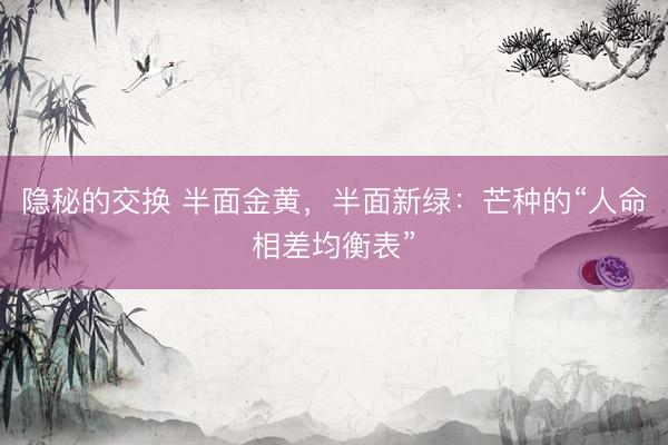隐秘的交换 半面金黄，半面新绿：芒种的“人命相差均衡表”
