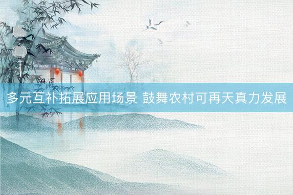 多元互补拓展应用场景 鼓舞农村可再天真力发展