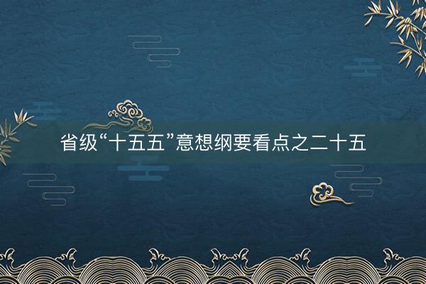 省级“十五五”意想纲要看点之二十五