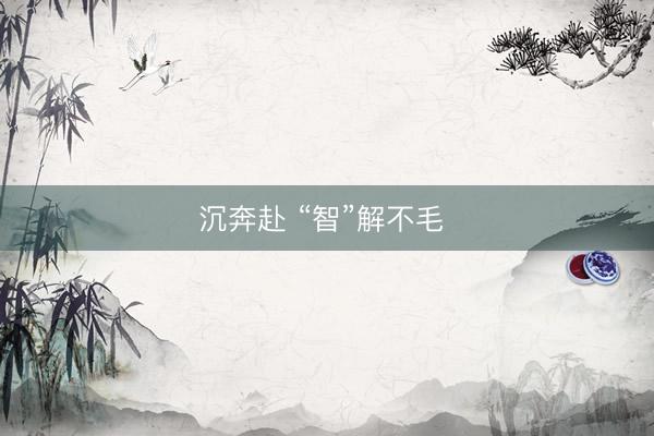 沉奔赴 “智”解不毛